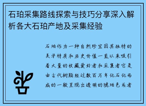 石珀采集路线探索与技巧分享深入解析各大石珀产地及采集经验